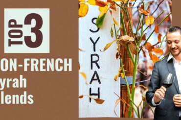 Top 3 NON-FRENCH Syrah Blends - The best alternative to the French Syrah!
