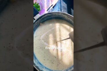 Cheesy french fries #shorts #youtubeshorts #short #cook #cooking #frenchfries #cheese #cook #food