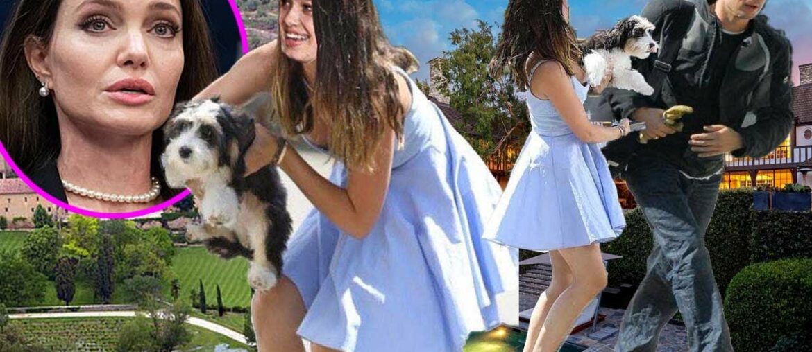 Shiloh main moves in with Brad Pitt amid Angelina Jolie secretly sells shares their factory