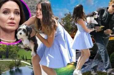 Shiloh main moves in with Brad Pitt amid Angelina Jolie secretly sells shares their factory