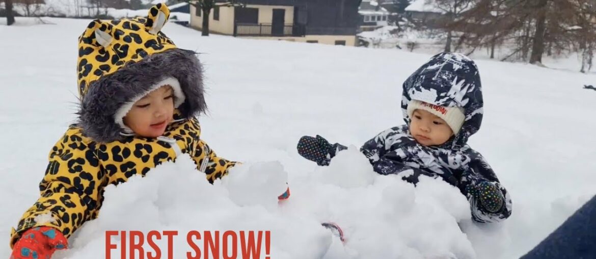 French Holiday Part 2: Tili's First Snow & 2nd Birthday!