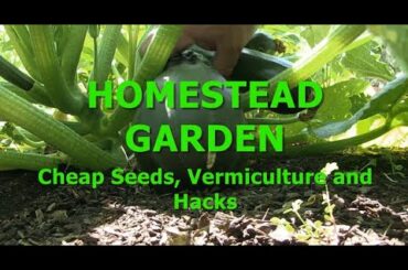 HOMESTEAD GARDEN - Cheap Seeds, Vermiculture & Hacks