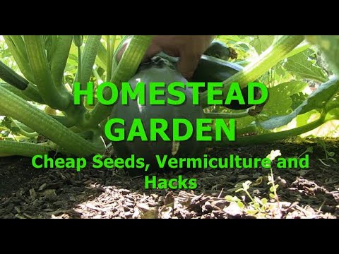 HOMESTEAD GARDEN – Cheap Seeds, Vermiculture & Hacks HOMESTEAD GARDEN - Cheap Seeds, Vermiculture & Hacks