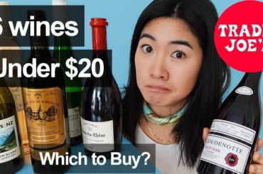 Sommelier Reviews Trader Joes Wines | 6 wines under $20