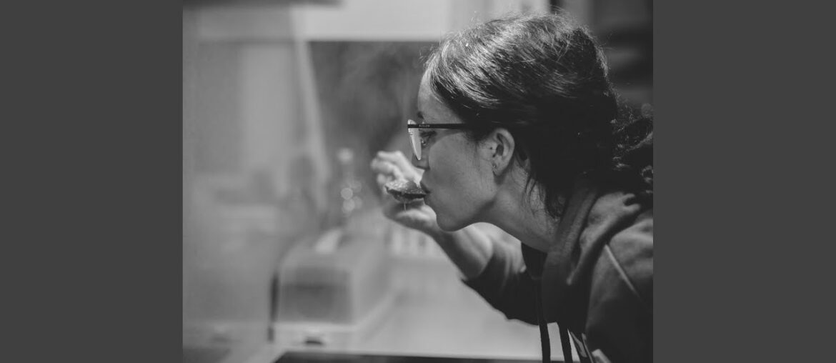 Majestic French Dinner