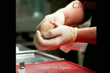 How to Make French Pigeon From Scratch | Perfect French Pigeon Cooking Recipe | Cooking Recipe 360