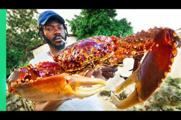 RARE Jamaican Seafood and Eating POISON Fish!! Montego Bay Food Tour!!