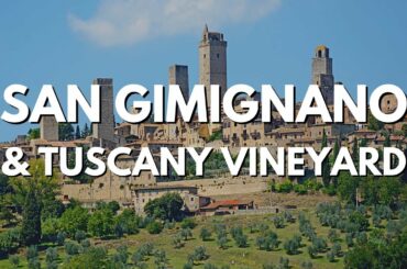 San Gimignano & Tuscany: Taste the Wine, Gelato, & Experience the Land | TE Destinations 2