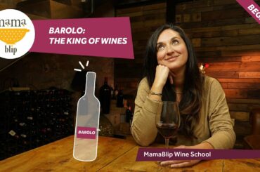 Barolo: Italy’s Most Iconic Wine. A guide to an amazing wine