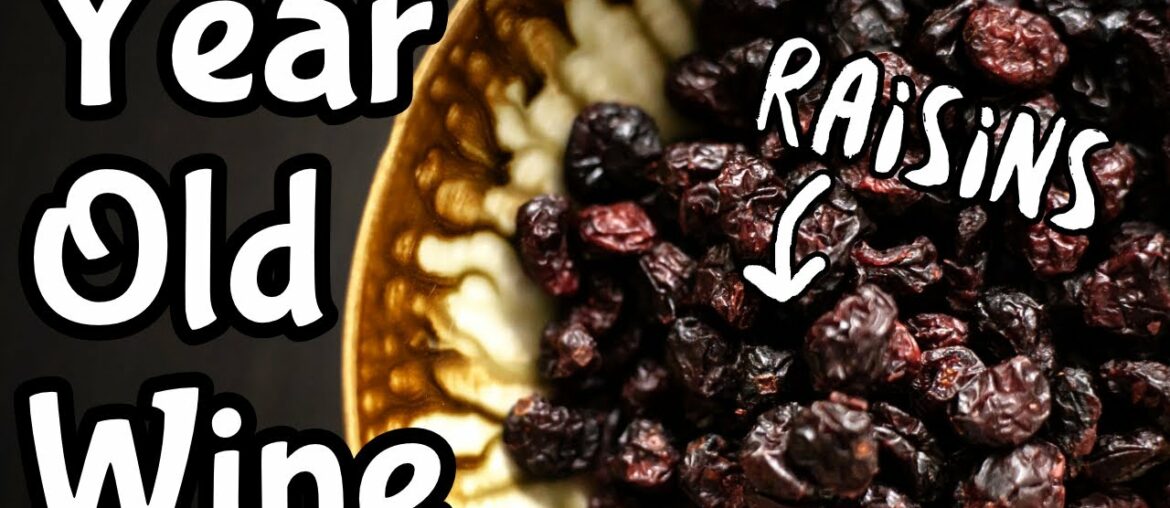 Raisin Wine One Year Tasting – Any Better? Raisin Wine One Year Tasting - Any Better?