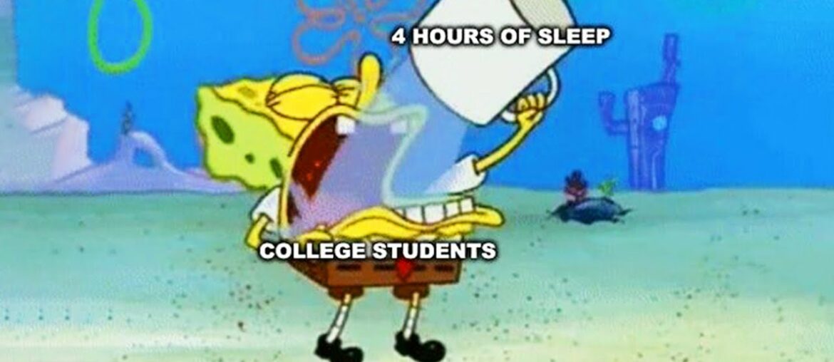 r/Bikinibottomtwitter | TRUE