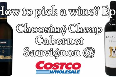 How to pick a Wine? With so many Cabernet Sauvignon wines at Costco how do you choose?