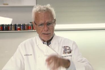 Chicken and Sake with David Bouley | Fukushima Sake Story