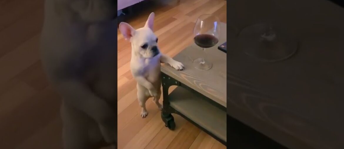 Waiting for the bartender to notice me so I can order another glass of wine Waiting for the bartender to notice me so I can order another glass of wine