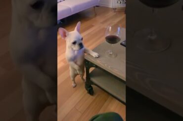 Waiting for the bartender to notice me so I can order another glass of wine