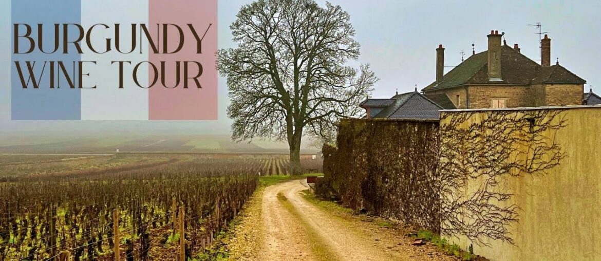 Burgundy France Wine Tour | Best Pinot Noir & Chardonnay In The World!! Burgundy France Wine Tour | Best Pinot Noir & Chardonnay In The World!!