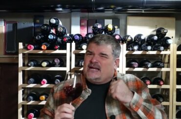 Chateau D'Aigueville 2017 Cotes-du-Rhone Villages (French Wine)