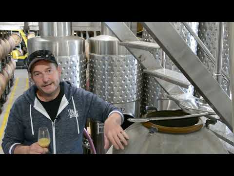 The Colours of Winemaking Semillon Fermentation The Colours of Winemaking Semillon Fermentation