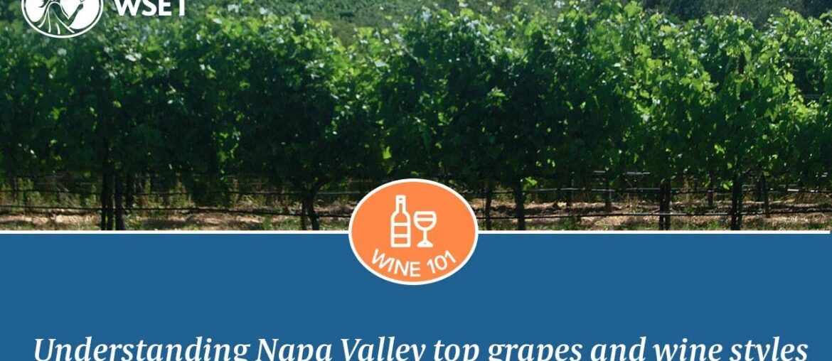 Understanding Napa Valley's top grapes and wine styles Understanding Napa Valley's top grapes and wine styles