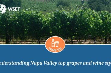 Understanding Napa Valley's top grapes and wine styles