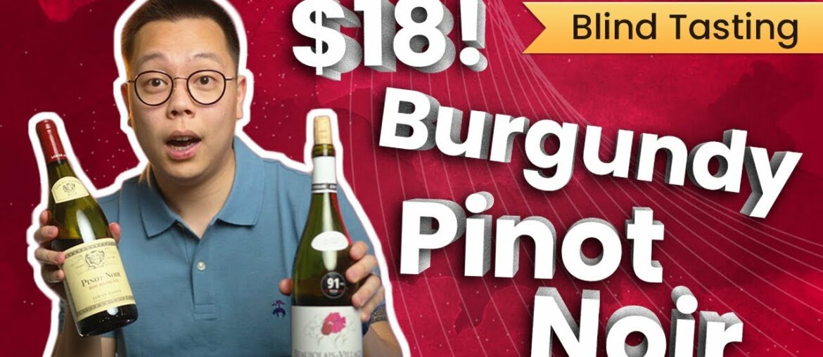 Best Cheap and Affordable Pinot Noir | Wine Verdict Best Cheap and Affordable Pinot Noir | Wine Verdict