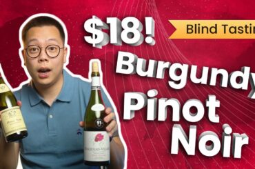 Best Cheap and Affordable Pinot Noir | Wine Verdict