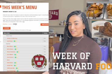 A WEEK OF HARVARD FOOD | maya lauren