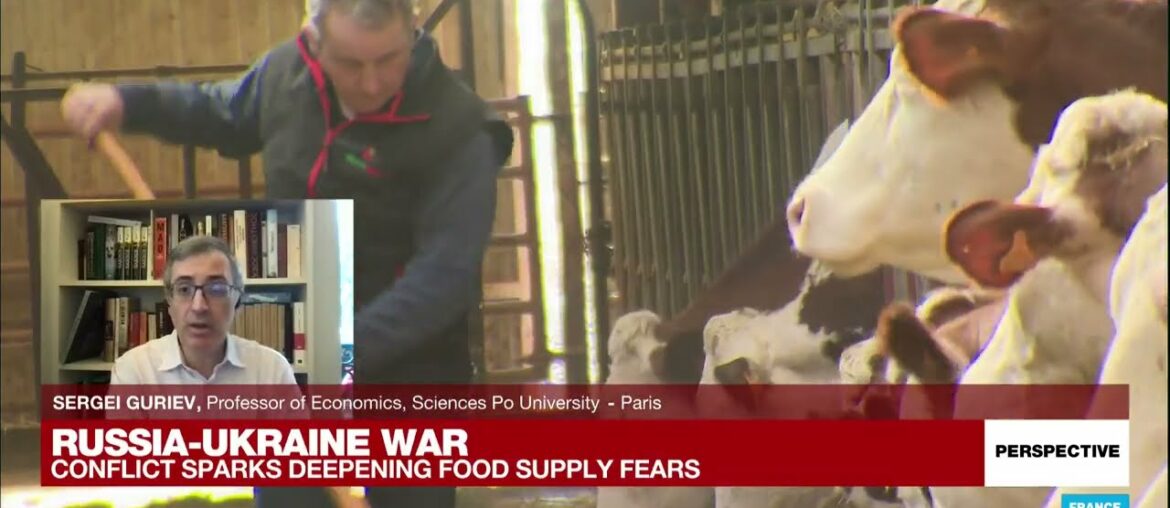 Economics Professor Sergei Guriev: ‘War in Ukraine could lead to meltdown of global food system’ Economics Professor Sergei Guriev: ‘War in Ukraine could lead to meltdown of global food system’