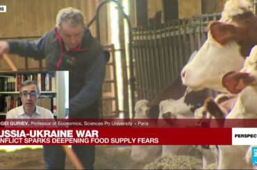 Economics Professor Sergei Guriev: ‘War in Ukraine could lead to meltdown of global food system’