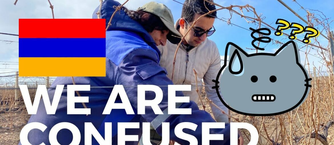 Karas Winery Visit with Birthright Armenia and an Attempt to Prune the Vines