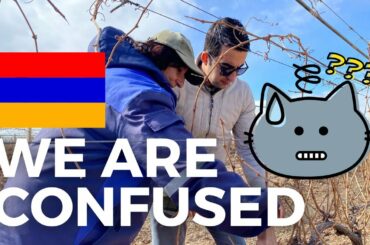 Karas Winery Visit with Birthright Armenia and an Attempt to Prune the Vines