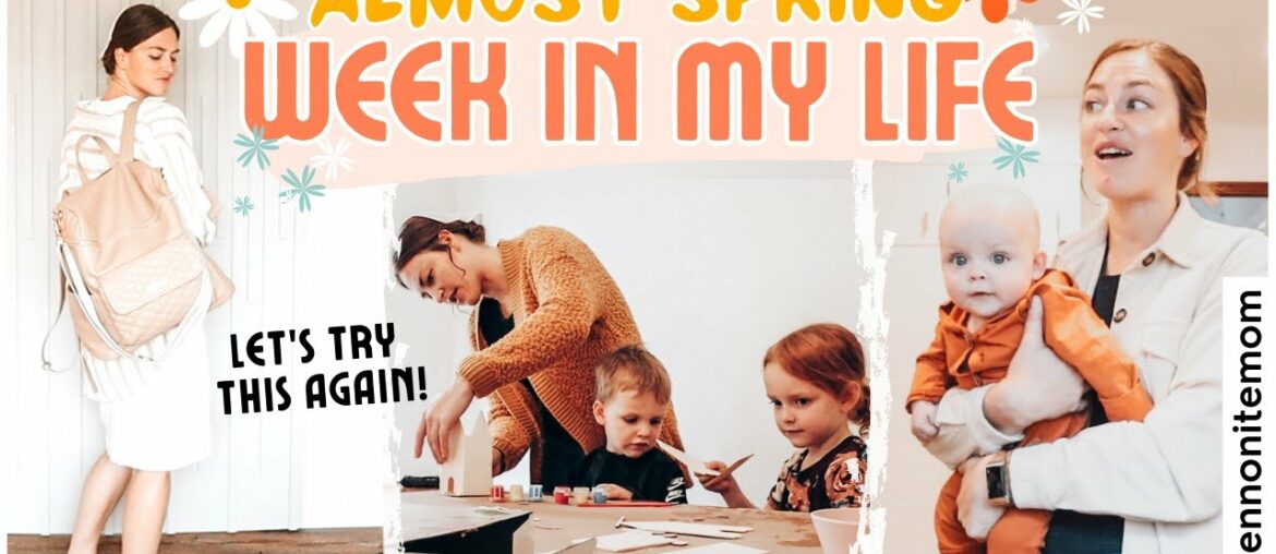 WEEKLY VLOG: spring refresh, gourmet grilled cheese, thrifting, homemaking + grocery shop WEEKLY VLOG: spring refresh, gourmet grilled cheese, thrifting, homemaking + grocery shop