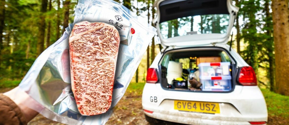 Cooking a Gourmet Feast out of my Car! (Wagyu A5 Experience + Car Camping in the Forest)