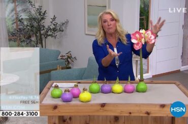HSN | Spring Home & Decor with Suzanne 03.21.2022 - 08 PM