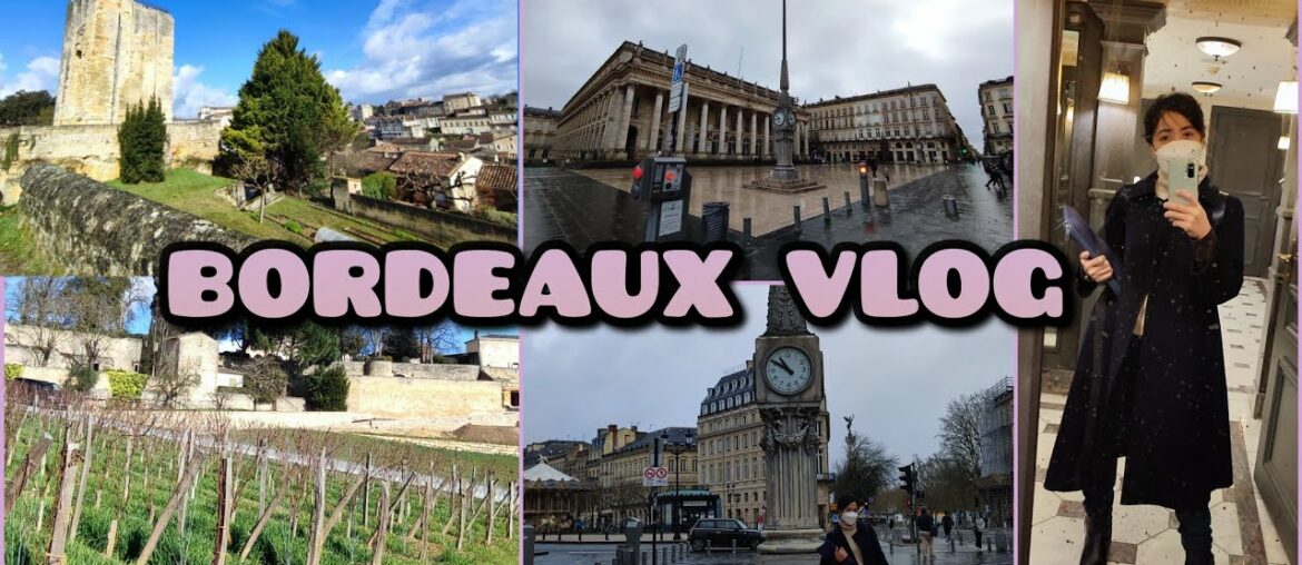 Bordeaux, France Vlog #vineyard #frenchwine