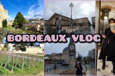 Bordeaux, France Vlog #vineyard #frenchwine
