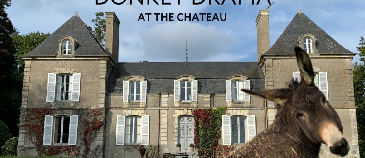 The Chateau rescue donkeys aren't cooperating! Our French Chateau: Episode 4 The Chateau rescue donkeys aren't cooperating! Our French Chateau: Episode 4
