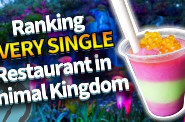 Ranking EVERY SINGLE Restaurant in Disney's Animal Kingdom