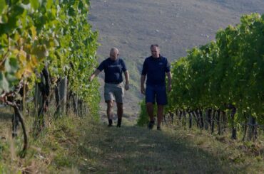 Experience The Creation Winemaking Philosophy