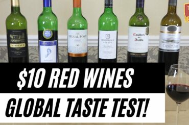 RED WINE TASTE TEST COMPARISON! | Best BUDGET MERLOT in the World? | France vs US, NZ, OZ, Chile, SA