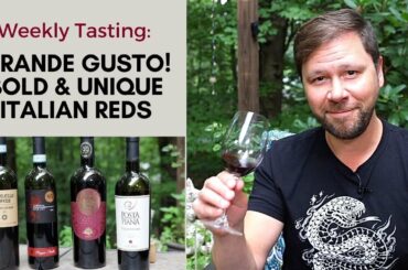 Wine Tasting For Beginners: Italian Red Wines Explained