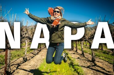 The Beginners Guide to NAPA Wines