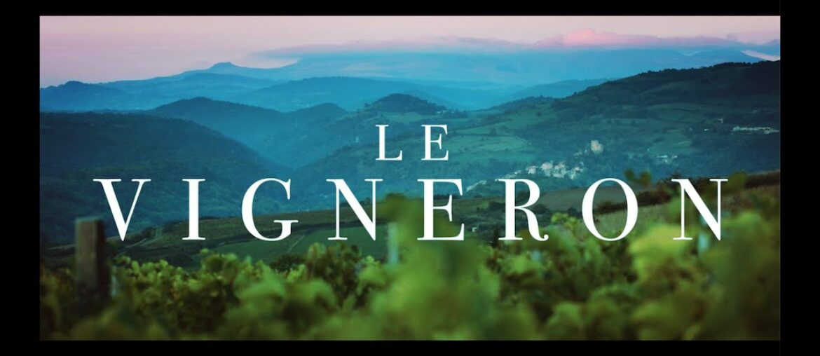 The Winemaker Documentary || Auvergne France The Winemaker Documentary || Auvergne France