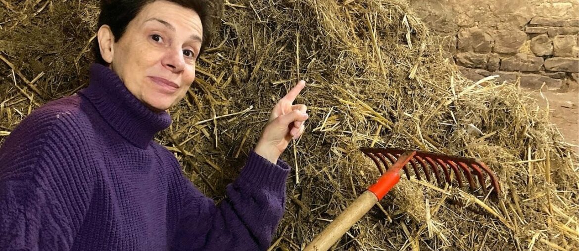 Cleaning Out The Stables Cleaning Out The Stables