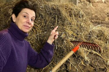 Cleaning Out The Stables