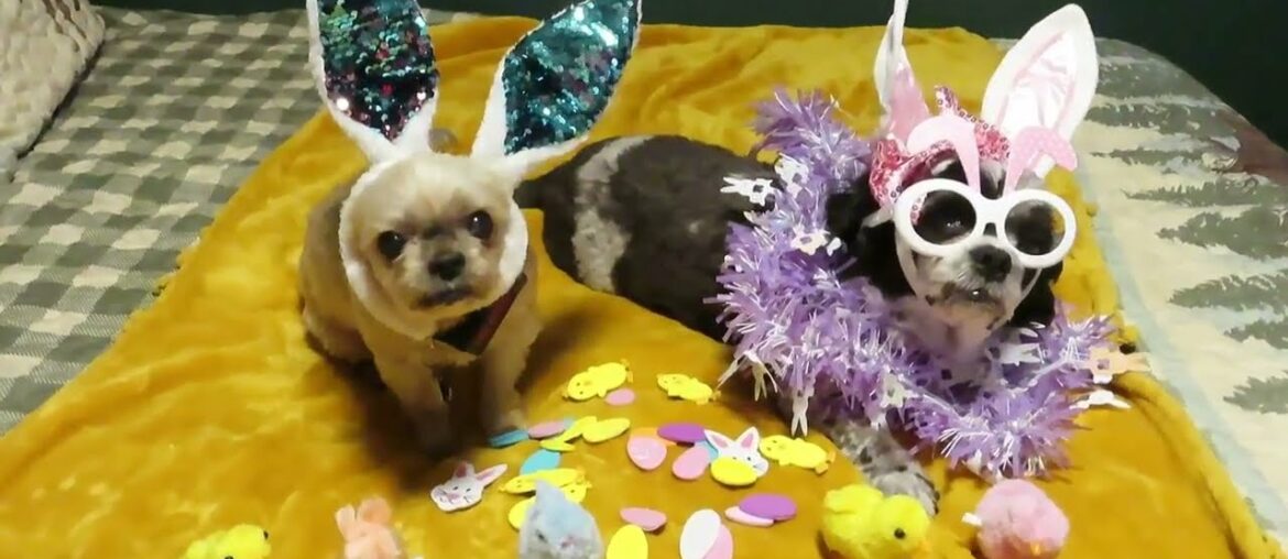 SUNDAY DINNER AT THE COTTAGE FISH & CHIPS