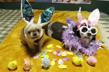 SUNDAY DINNER AT THE COTTAGE FISH & CHIPS