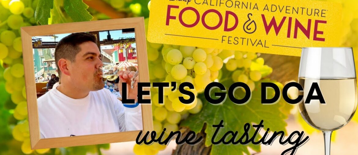 Disneyland Resort Update & Wine Tasting at DCA!
