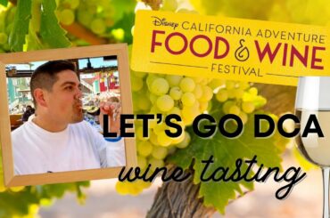 Disneyland Resort Update & Wine Tasting at DCA!