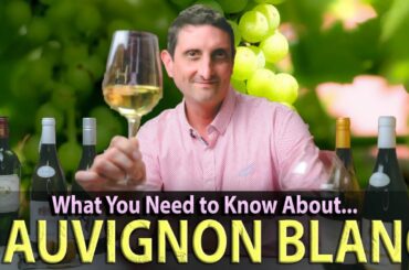 Enthusiast's Guide to Sauvignon Blanc | From France to New Zealand, the Complete Story!